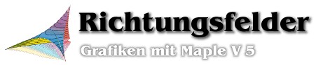 Richtungsfelder